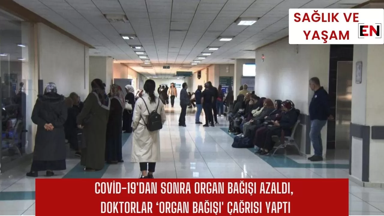 Covid-19'dan sonra organ bağışı azaldı, doktorlar ‘organ bağışı' çağrısı yaptı
