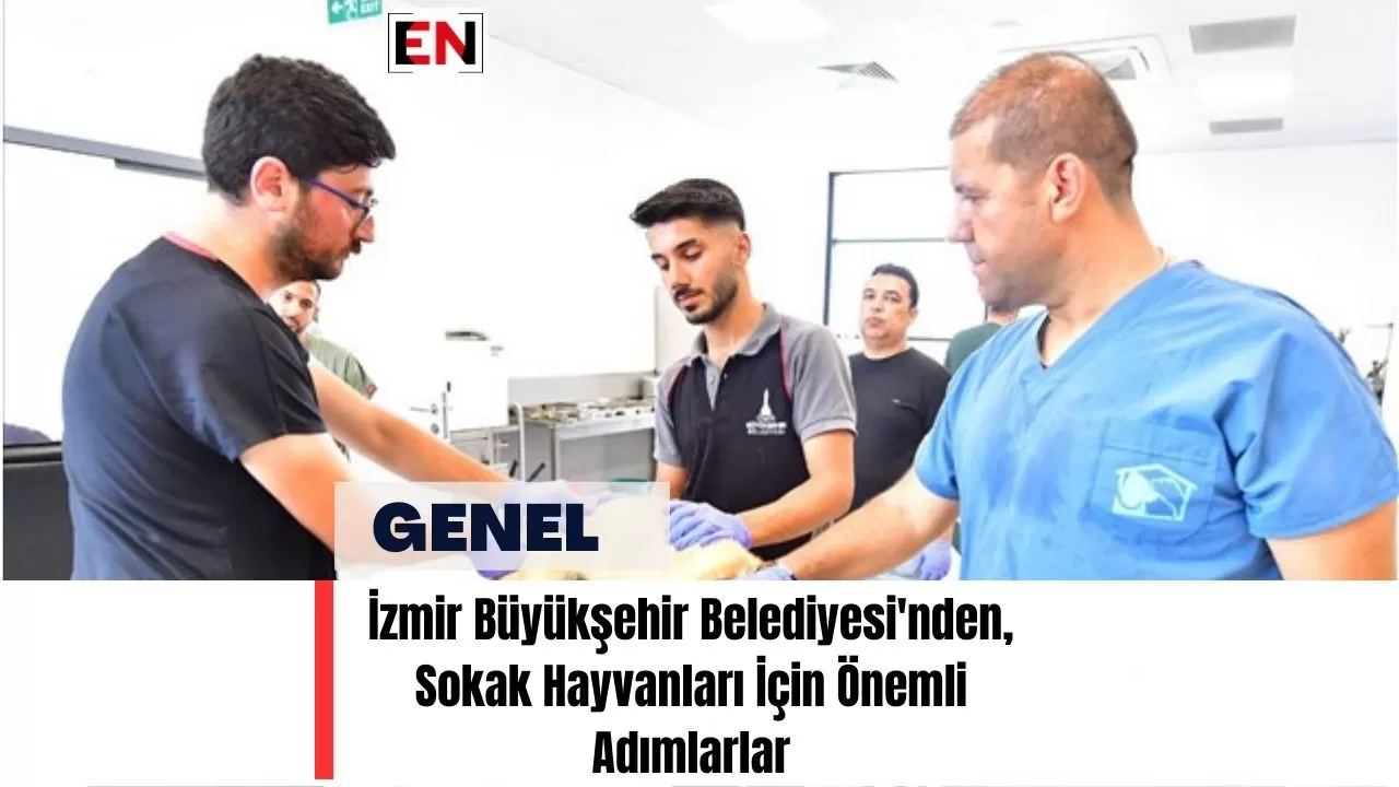 İzmir Büyükşehir Belediyesi'nden, Sokak Hayvanları İçin Önemli Adımlarlar
