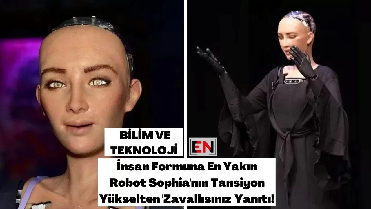 İnsan Formuna En Yakın Robot Sophia'nın Tansiyon Yükselten 'Zavallısınız' Yanıtı!