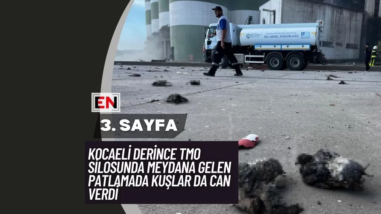 Kocaeli Derince TMO Silosunda Meydana Gelen Patlamada Kuşlar da Can Verdi