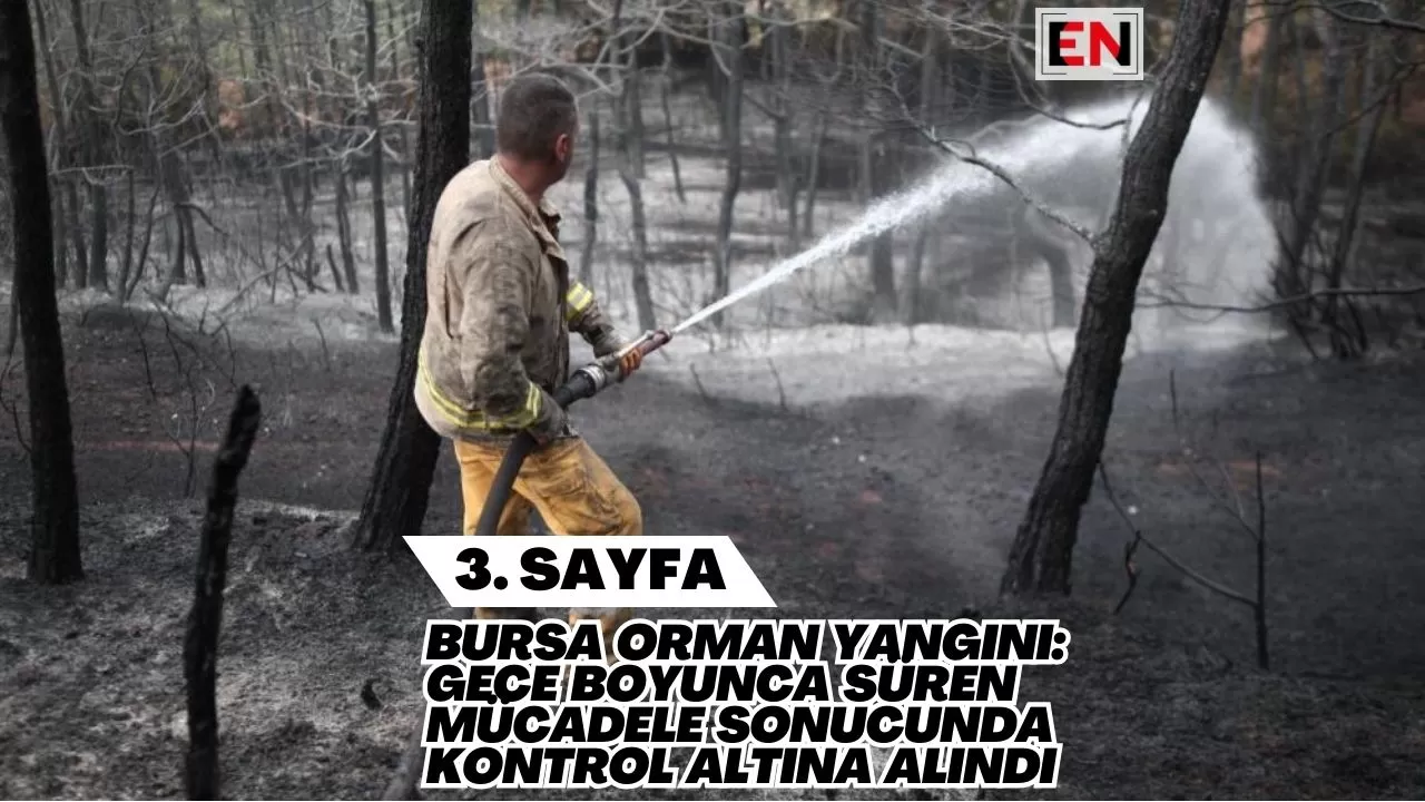 Bursa Orman Yangını: Gece Boyunca Süren Mücadele Sonucunda Kontrol Altına Alındı